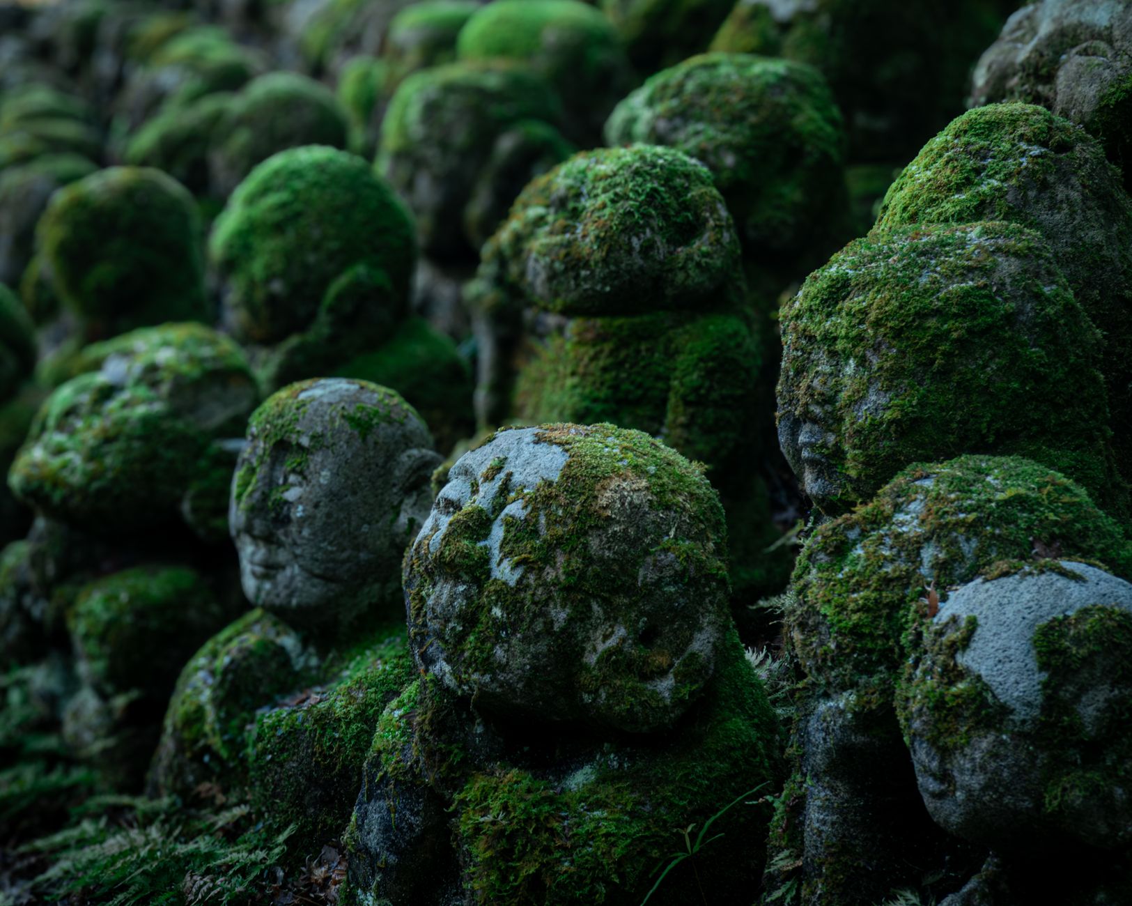 Moss-covered Jizo statues in a forest temple in Kyoto.